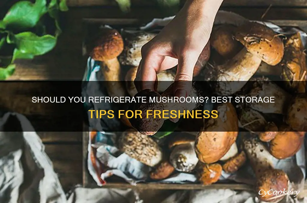 do you put mushrooms in the refrigerator