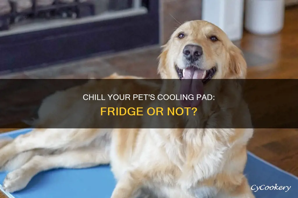 do you put pet cooling pads in the refrigerator