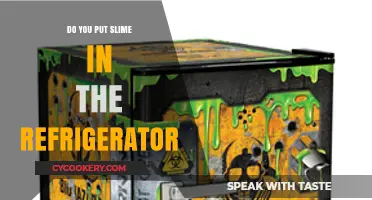 Should You Refrigerate Slime? Tips for Storage and Preservation