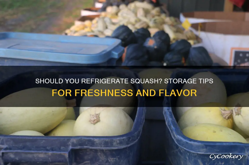 do you put squash in the refrigerator