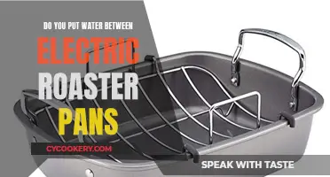 Electric Roaster Pans: Water or No Water?