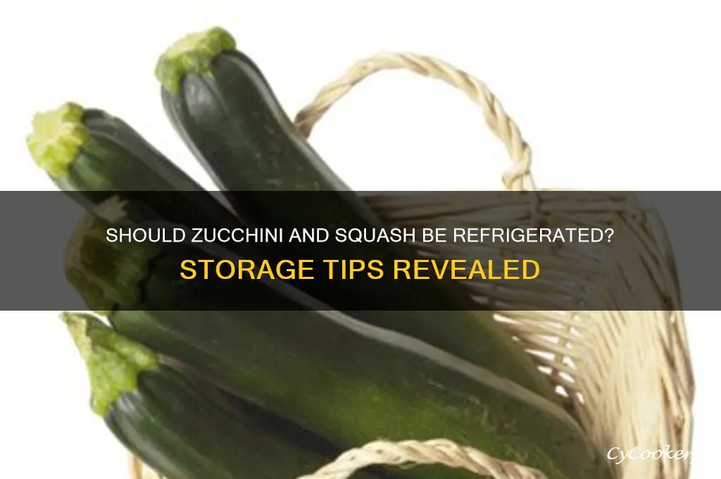 do you put zucchini and squash in the refrigerator