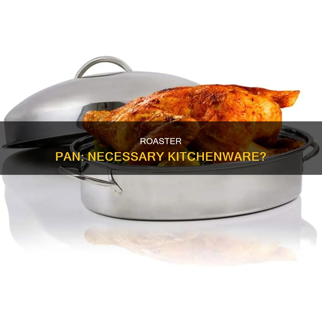 do you really need a heavy roaster pan