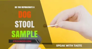 Should You Refrigerate Your Dog's Stool Sample? Expert Tips