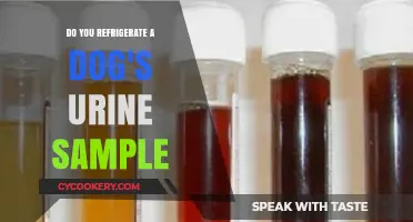 Should You Refrigerate Your Dog's Urine Sample? Quick Tips
