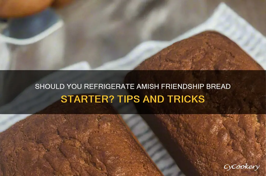 do you refrigerate amish friendship bread starter