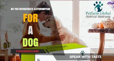 Should You Refrigerate Azithromycin for Your Dog? Storage Tips