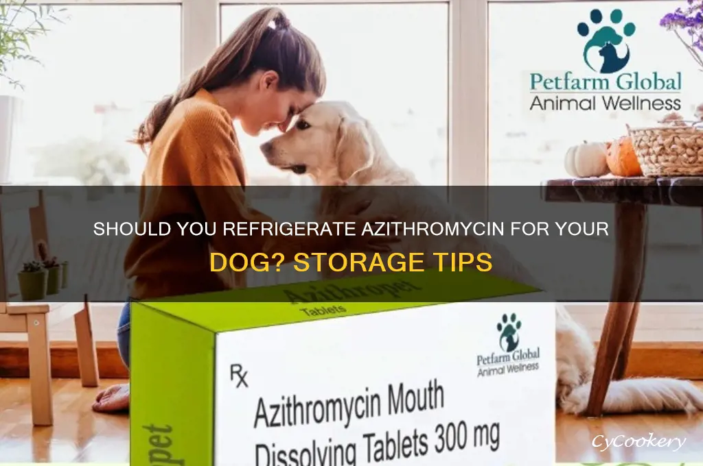 do you refrigerate azithromycin for a dog