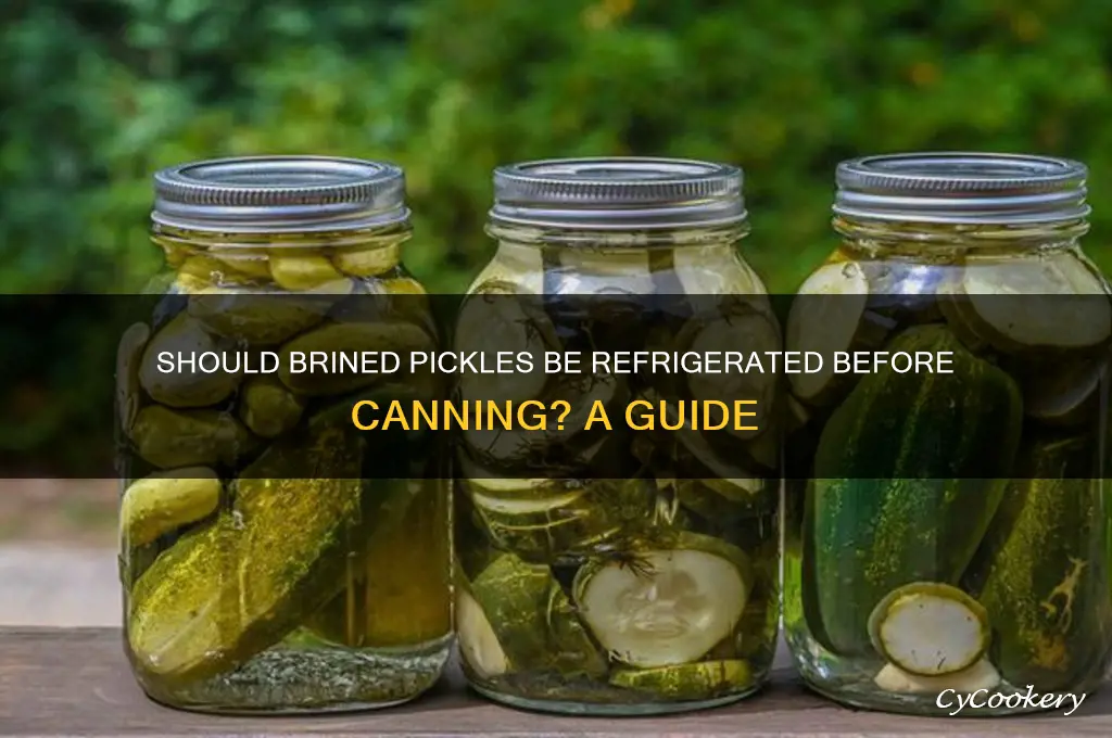 do you refrigerate brined pickles before canning