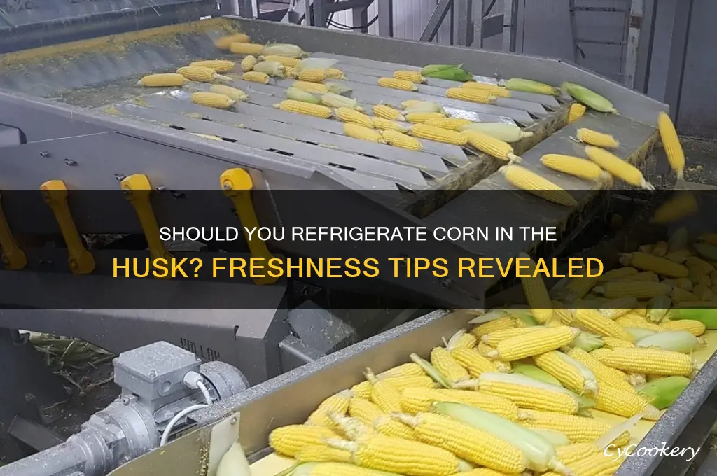 do you refrigerate corn in the husk