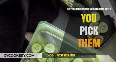 Should You Refrigerate Freshly Picked Cucumbers? A Storage Guide