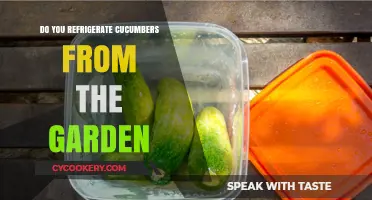 Should Garden-Fresh Cucumbers Be Refrigerated? Best Storage Tips