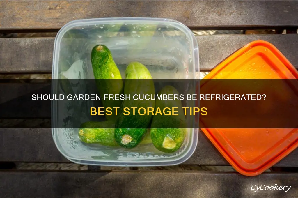 do you refrigerate cucumbers from the garden
