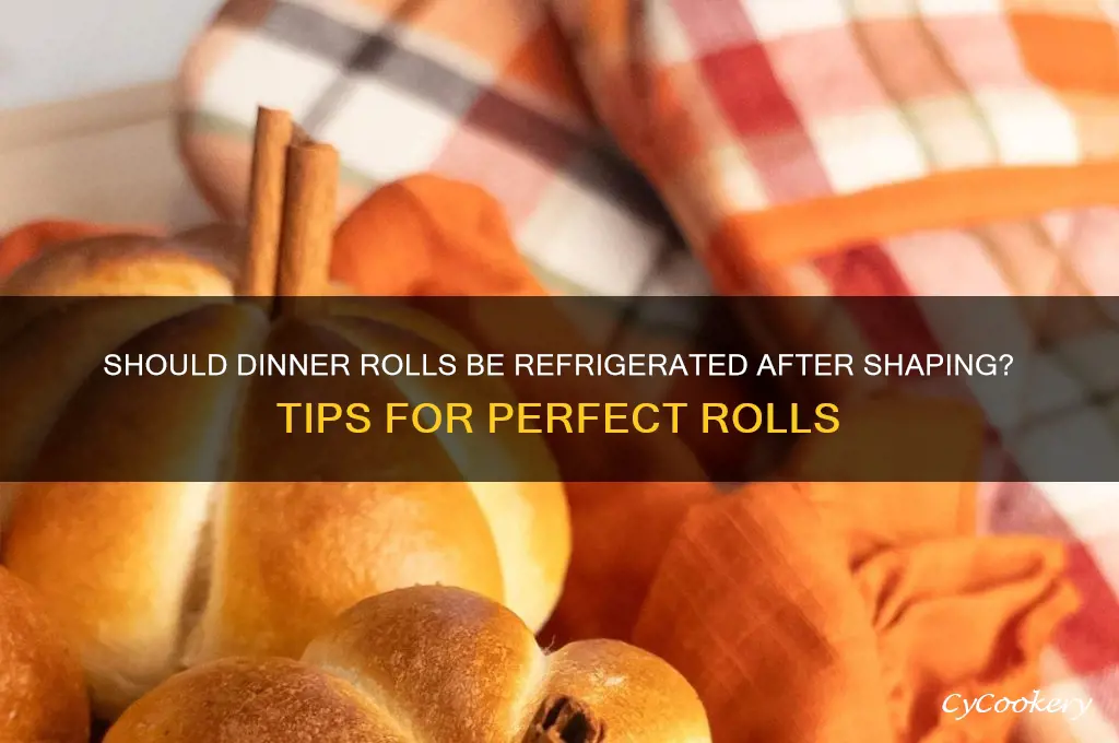 do you refrigerate dinner rolls after shaping