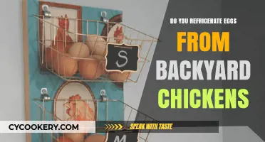 Should Backyard Chicken Eggs Be Refrigerated? A Freshness Guide