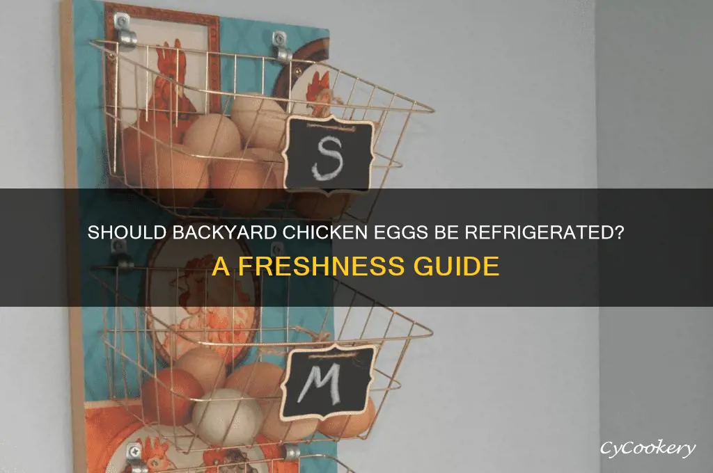 do you refrigerate eggs from backyard chickens