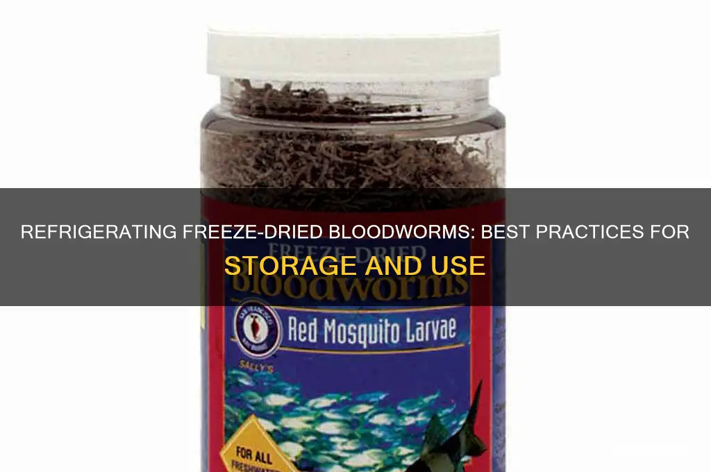 do you refrigerate freeze dry blood worm