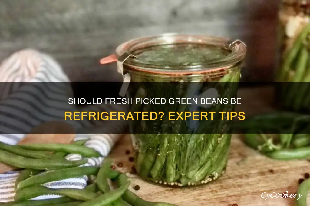 do you refrigerate fresh picked green beans