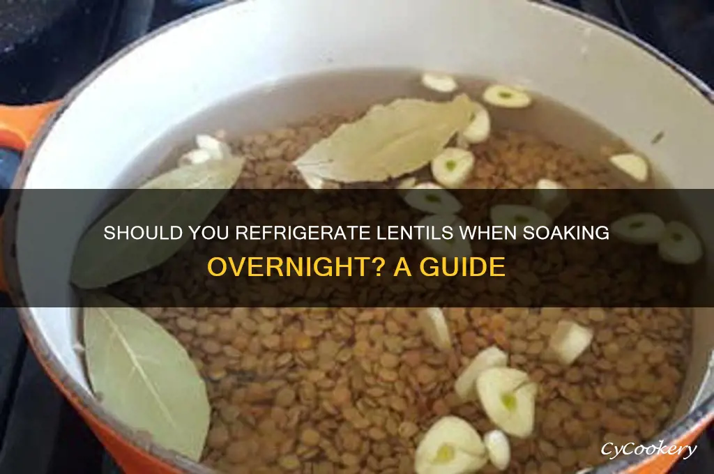 do you refrigerate lentils as you soak them overnight