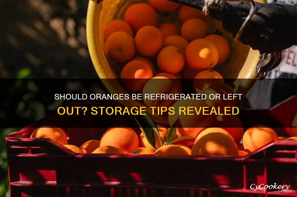 do you refrigerate oranges or leave out