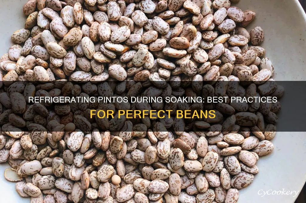do you refrigerate pintos while they soak