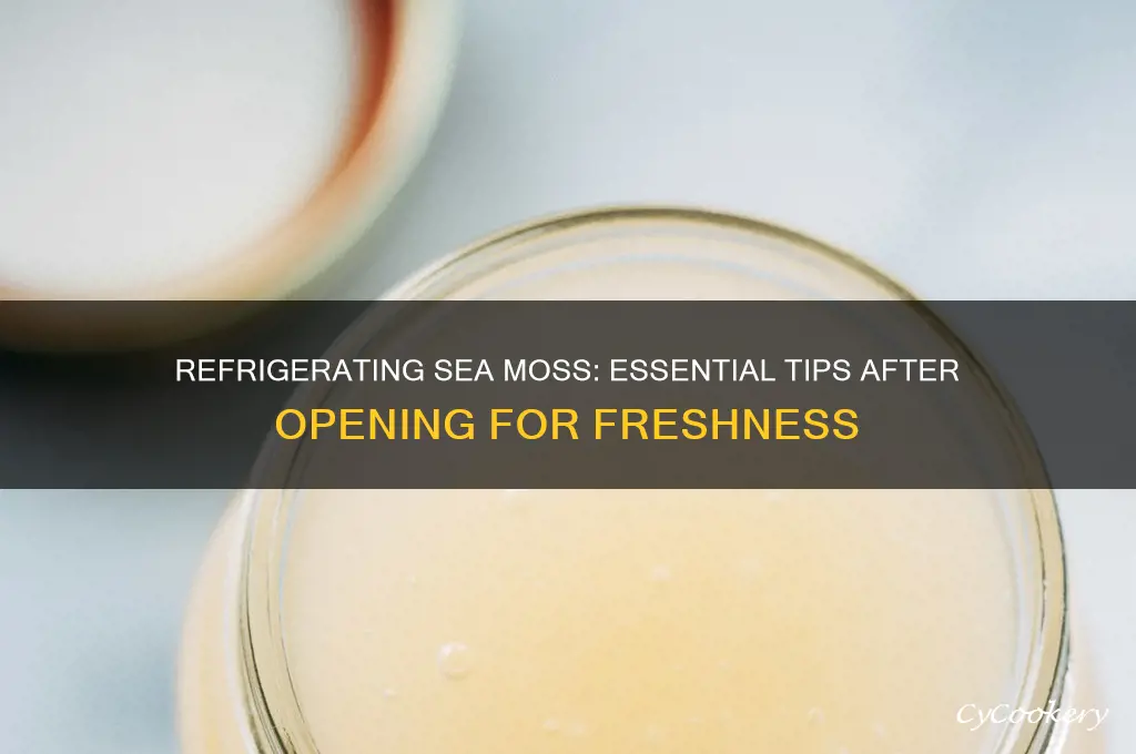 do you refrigerate sea moss after opening