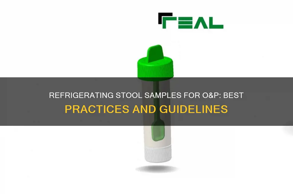 do you refrigerate stool samples for o&p