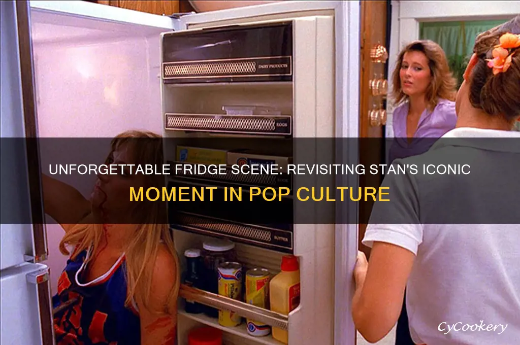do you remember the refrigerator scene stan