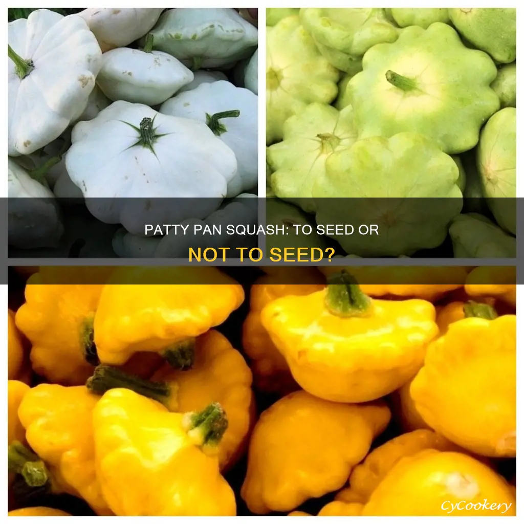 do you remove seeds from patty pan squash