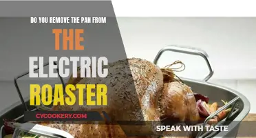 To Pan or Not to Pan: The Electric Roaster Conundrum