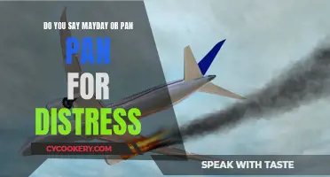 Distress Calls: When to Say Mayday or Pan Pan