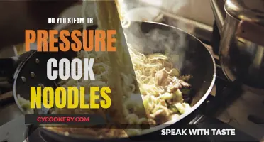 Steam or Pressure: The Best Way to Cook Noodles?