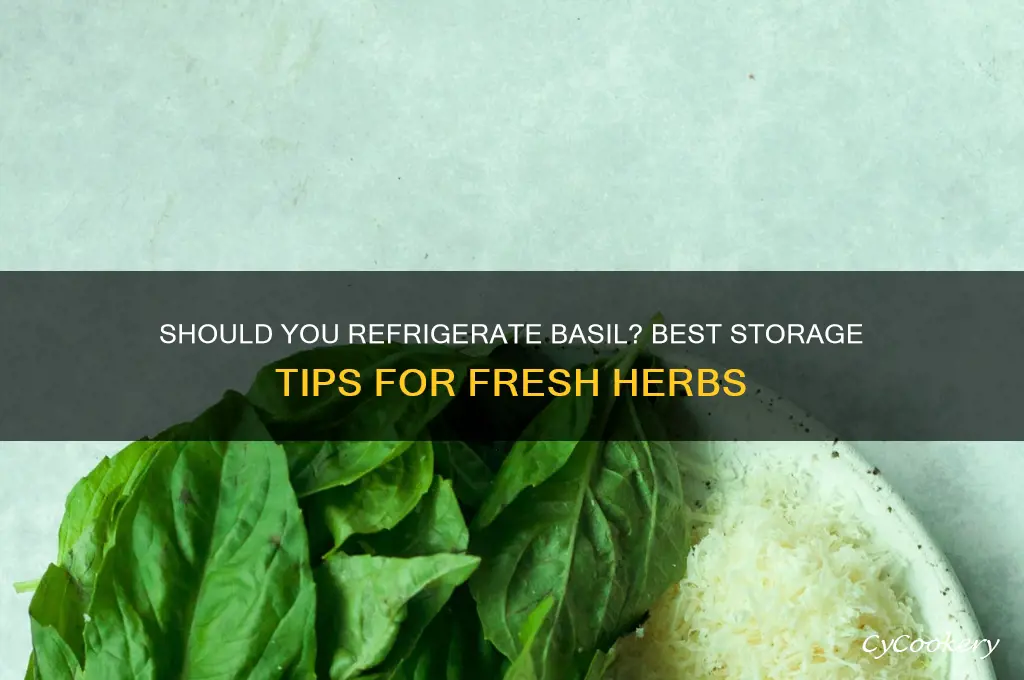 do you store basil in the refrigerator