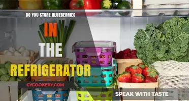 Should You Refrigerate Blueberries? Best Storage Tips for Freshness