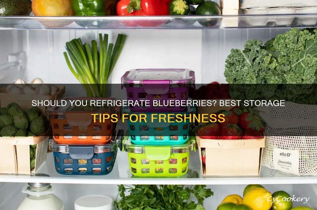 do you store blueberries in the refrigerator