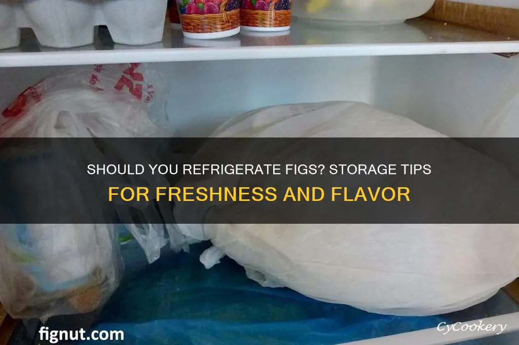 do you store figs in the refrigerator
