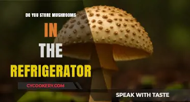 Storing Mushrooms: Fridge or Not? Expert Tips for Freshness