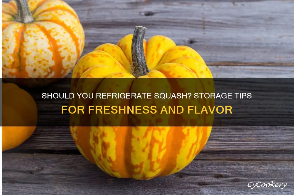 do you store squash in the refrigerator