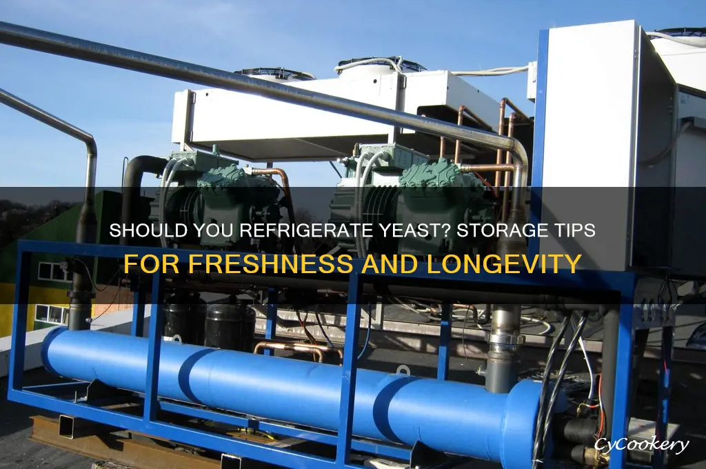 do you store yeast in the refrigerator