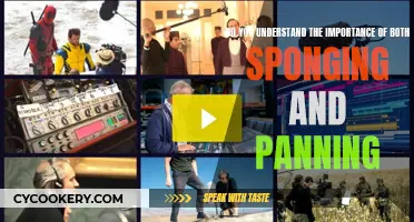 Sponging and Panning: The Art of Understanding Sound