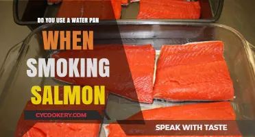 Should You Use a Water Pan When Smoking Salmon? Tips & Tricks