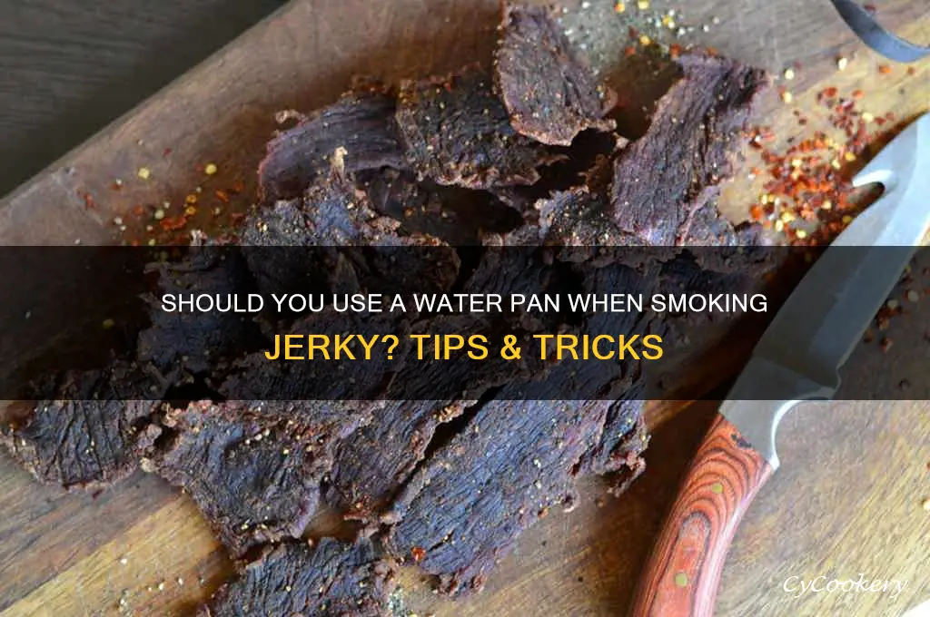 do you use the water pan when smoking jerky