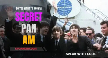 Unveiling Pan Am's Secrets: A Revealing Insight