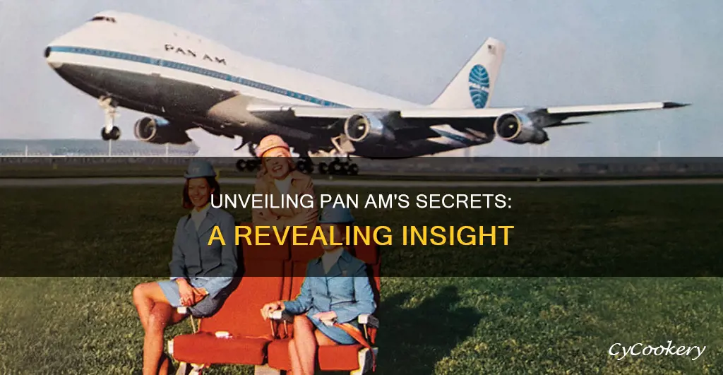 do you want to know a secret pan am