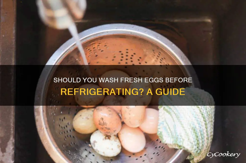 do you wash fresh eggs before refrigerating