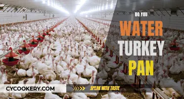 The Moisture-Rich Secret to Tender Turkey: Watering the Pan