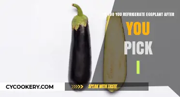 Should You Refrigerate Eggplant After Picking? Storage Tips Revealed