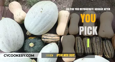 Should You Refrigerate Squash After Harvesting? A Storage Guide