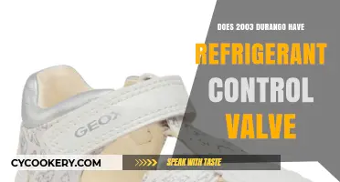 Does the 2003 Durango Have a Refrigerant Control Valve?