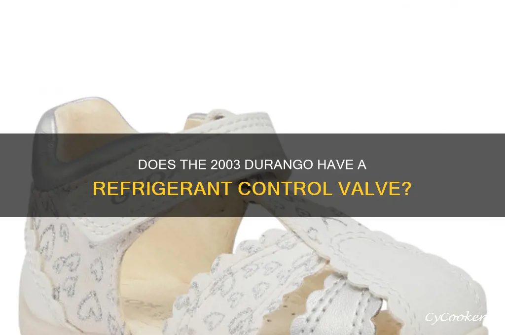 does 2003 durango have refrigerant control valve